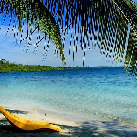 Coconut Hostel Bocas Town Екстериор снимка