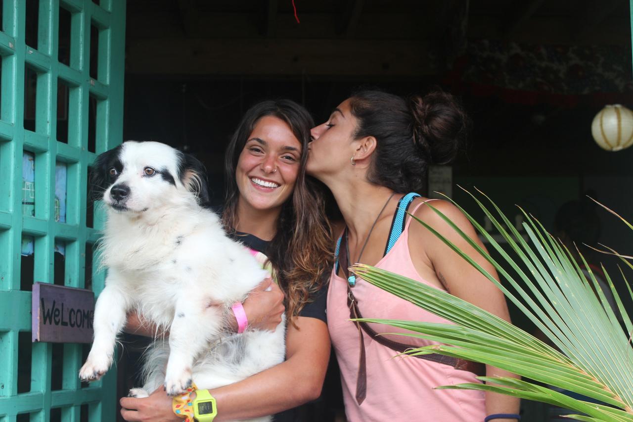 Coconut Hostel Bocas Town Екстериор снимка