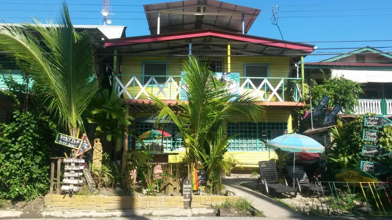 Coconut Hostel Bocas Town Екстериор снимка
