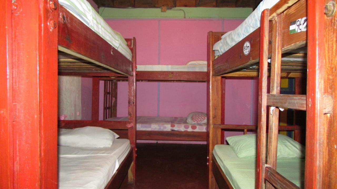 Coconut Hostel Bocas Town Екстериор снимка