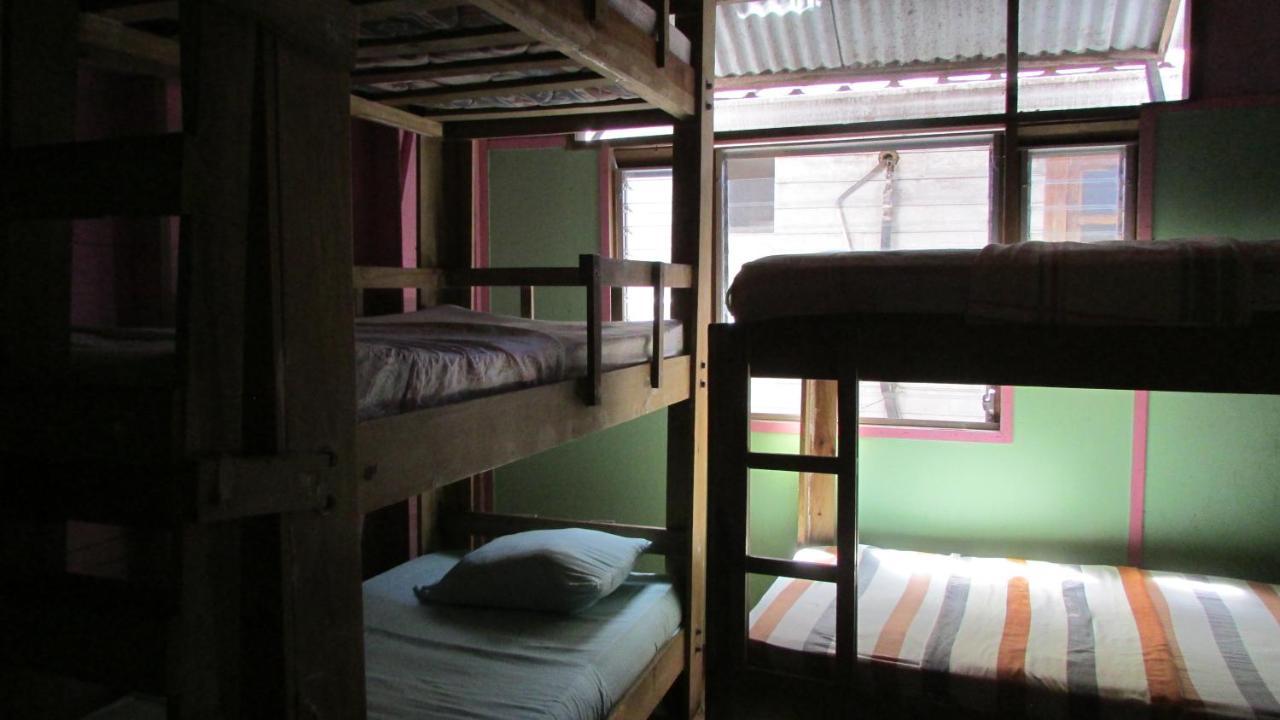 Coconut Hostel Bocas Town Екстериор снимка