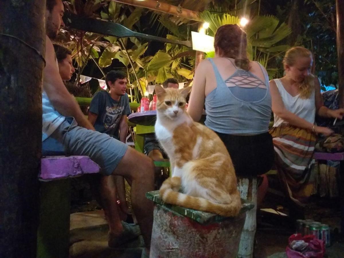 Coconut Hostel Bocas Town Екстериор снимка