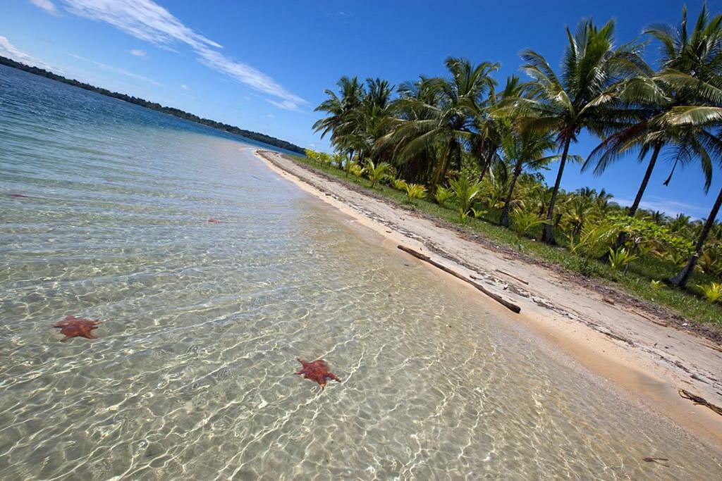 Coconut Hostel Bocas Town Екстериор снимка