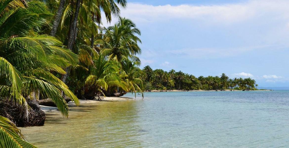 Coconut Hostel Bocas Town Екстериор снимка