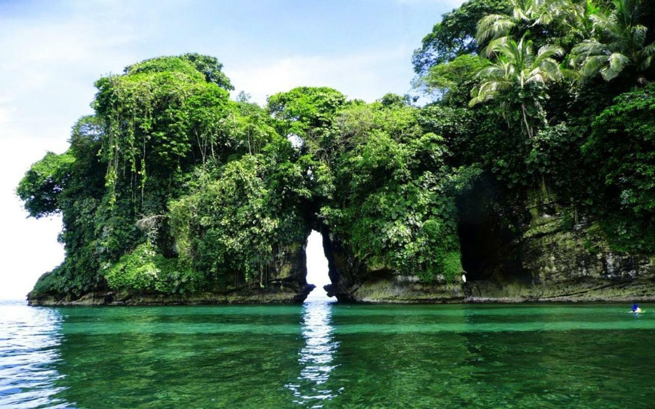 Coconut Hostel Bocas Town Екстериор снимка
