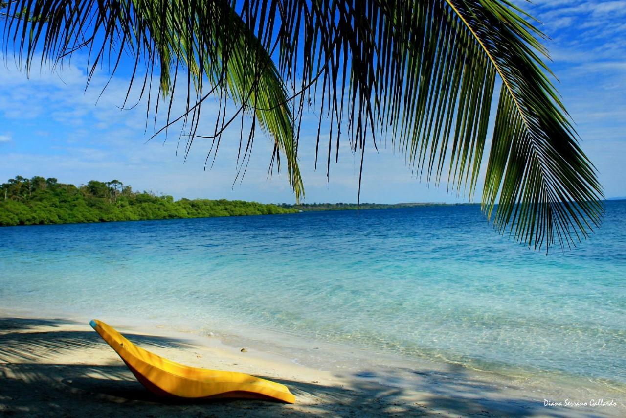 Coconut Hostel Bocas Town Екстериор снимка