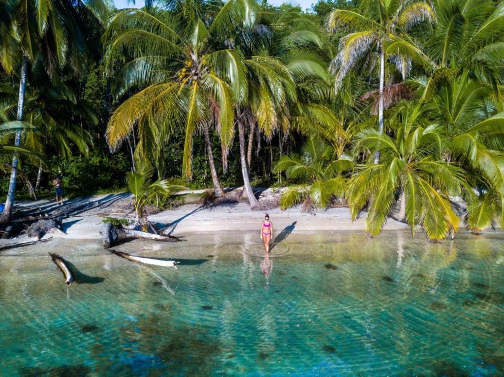 Coconut Hostel Bocas Town Екстериор снимка